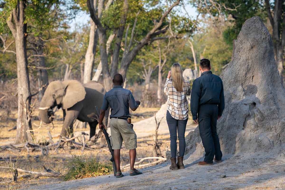 Savuti & Okavango Delta Safari Savuti Camp