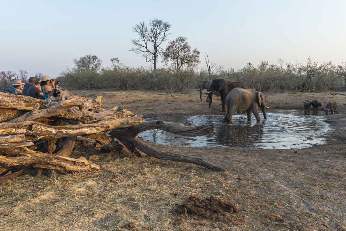 Savuti & Okavango Delta Safari Savuti Camp