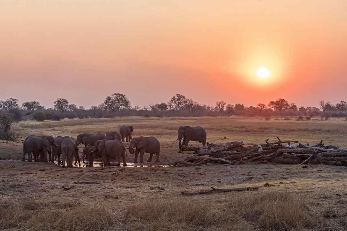 Savuti & Okavango Delta Safari Savuti Camp