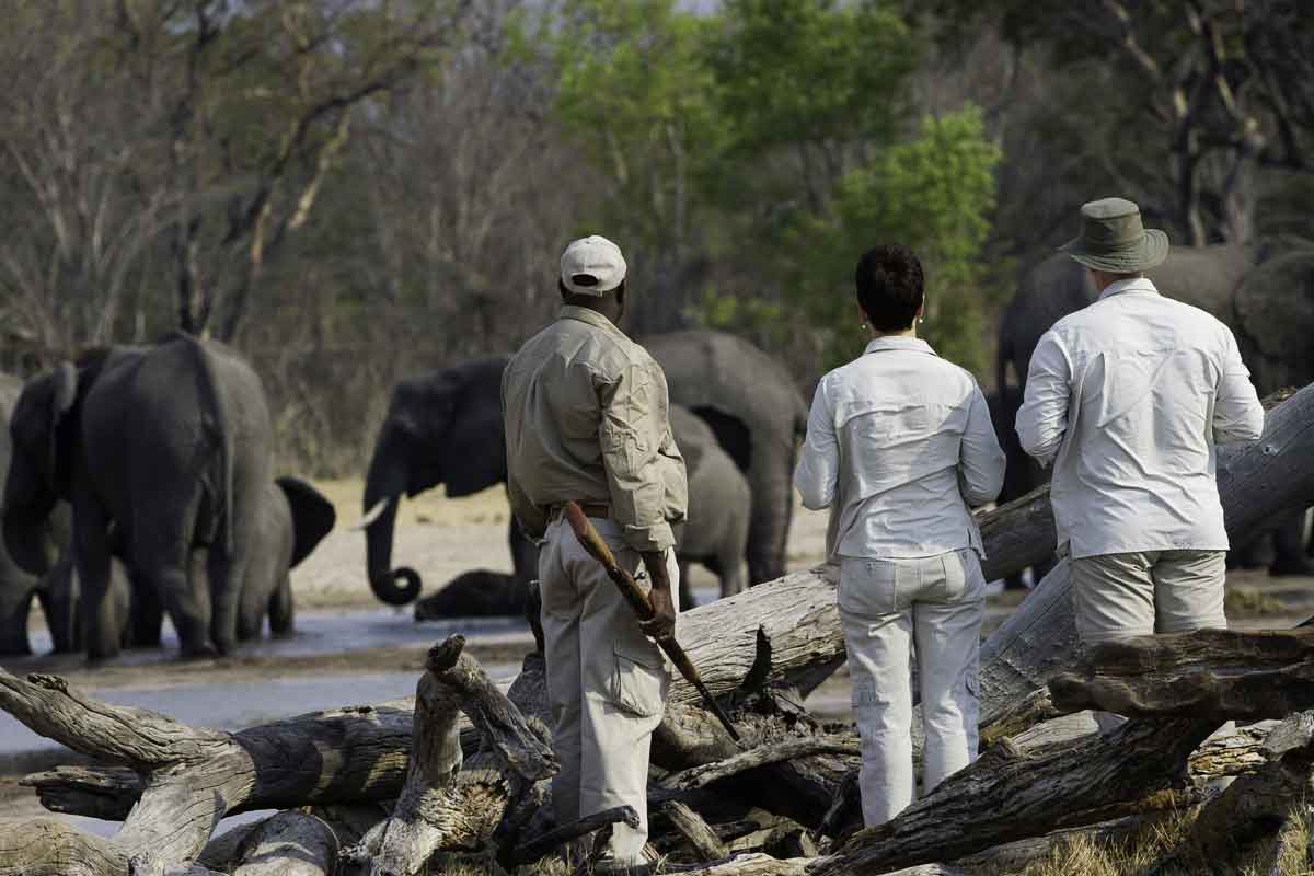 Zimbabwe Safaris - Hwange National Park