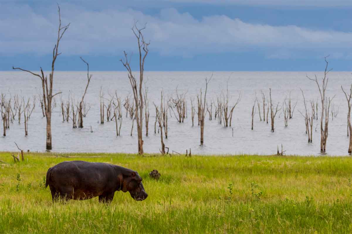 Zimbabwe Safaris - Lake Kariba