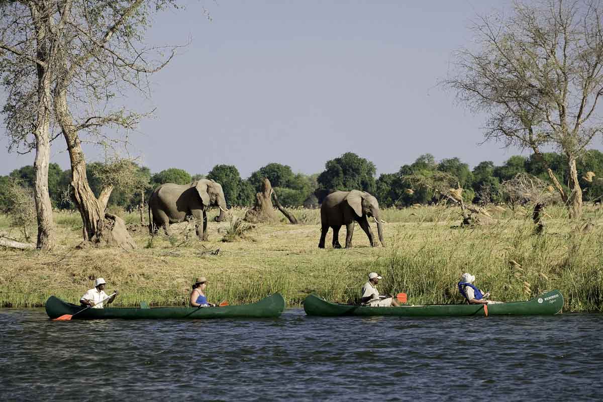 Zimbabwe Safaris - Mana Pools National Park