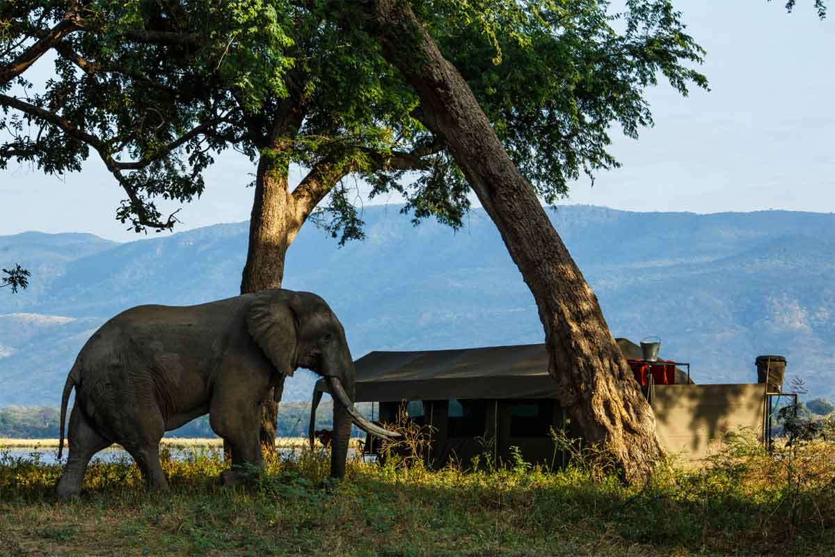 Zimbabwe Safaris - Mana Pools National Park