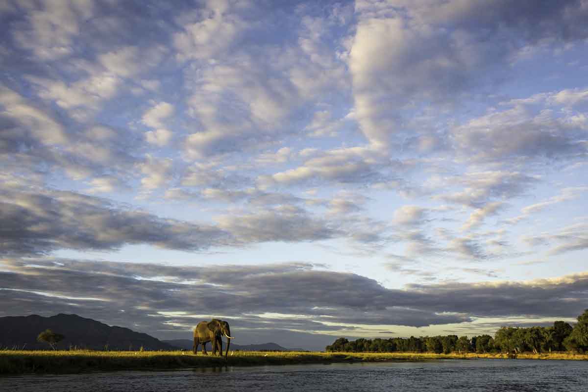 Zimbabwe Safaris - Mana Pools National Park