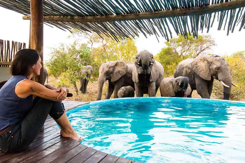 Top 10 Klaserie Safari Lodges Africa On Foot