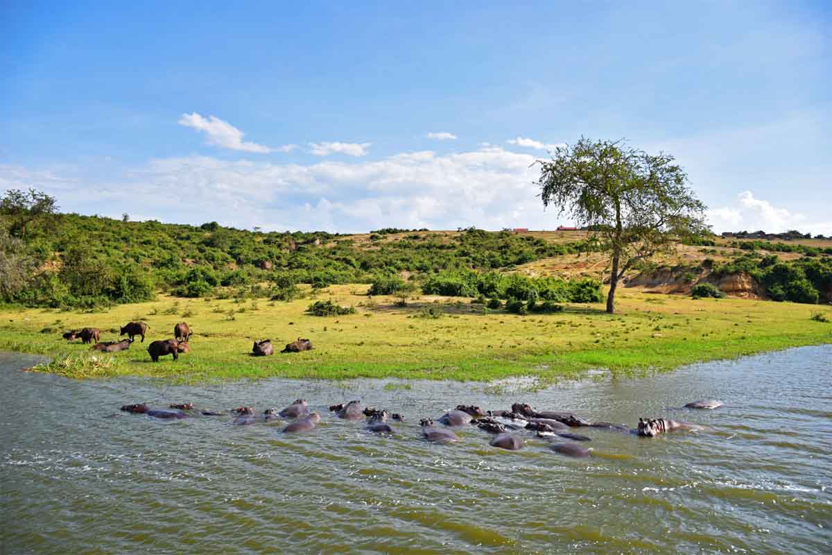 Classic Uganda Safari Mazike Valley Lodge
