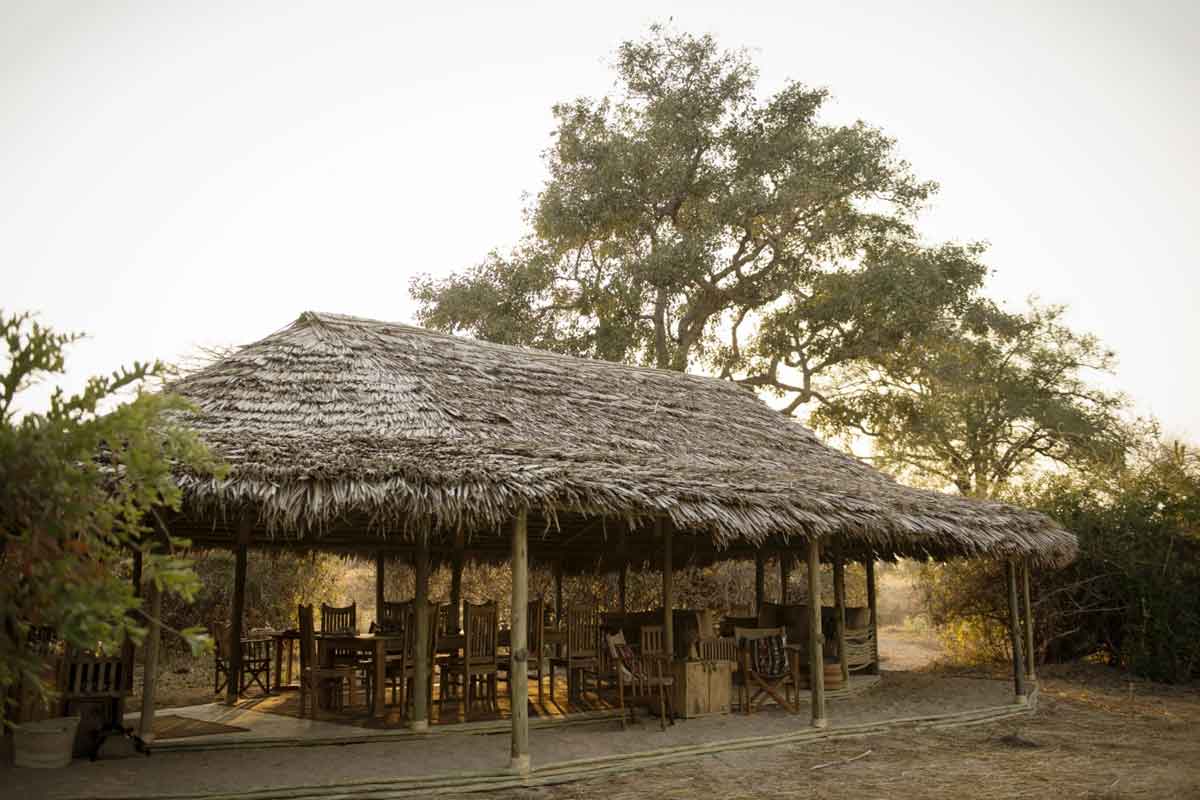 Safari in Southern Tanzania -Kigelia Ruaha