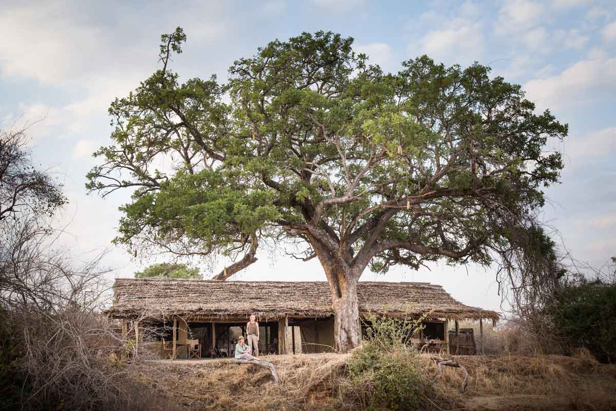 Safari in Southern Tanzania -Kigelia Ruaha