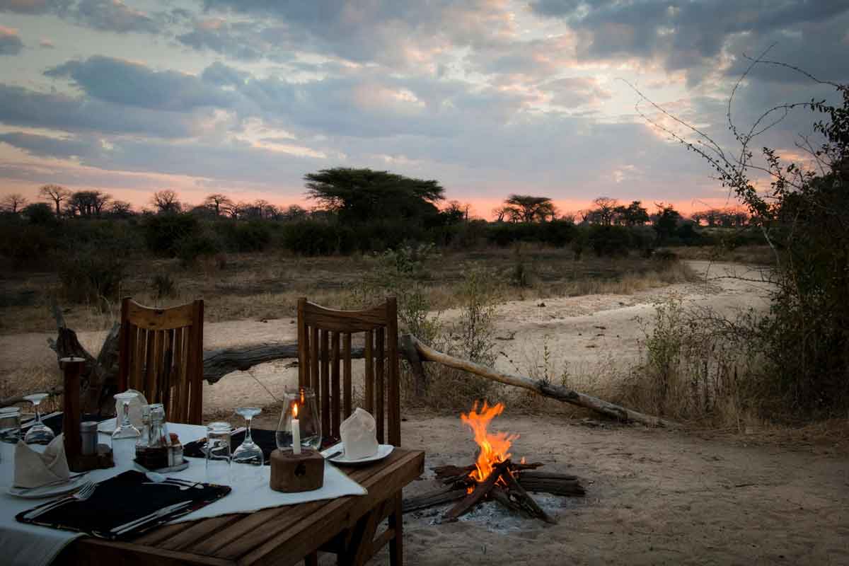 Safari in Southern Tanzania -Kigelia Ruaha