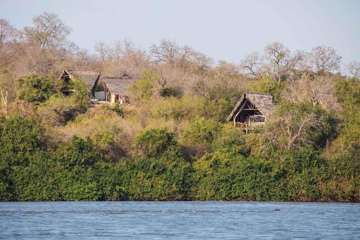 Safari in Southern Tanzania Sand Rivers Selous