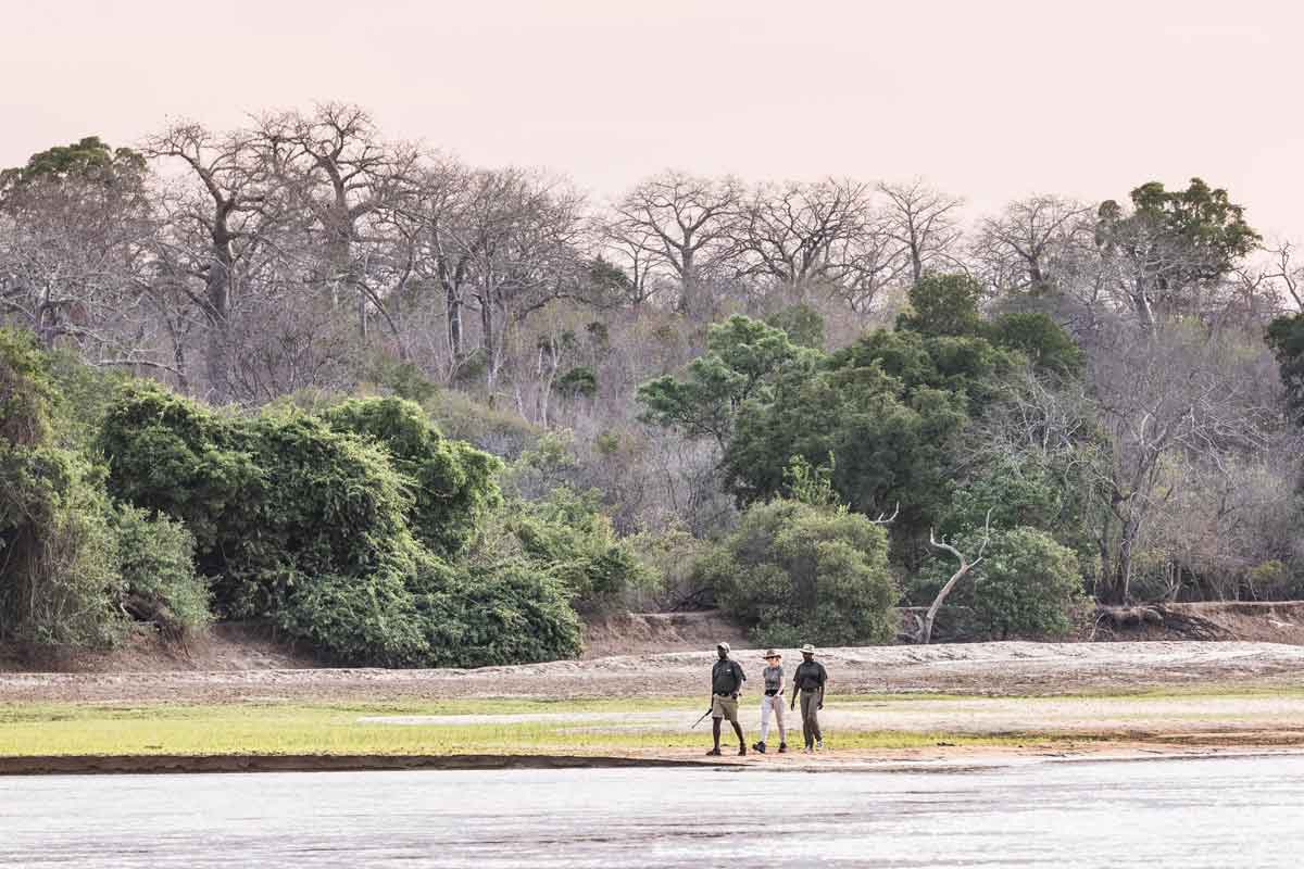 Safari in Southern Tanzania Sand Rivers Selous