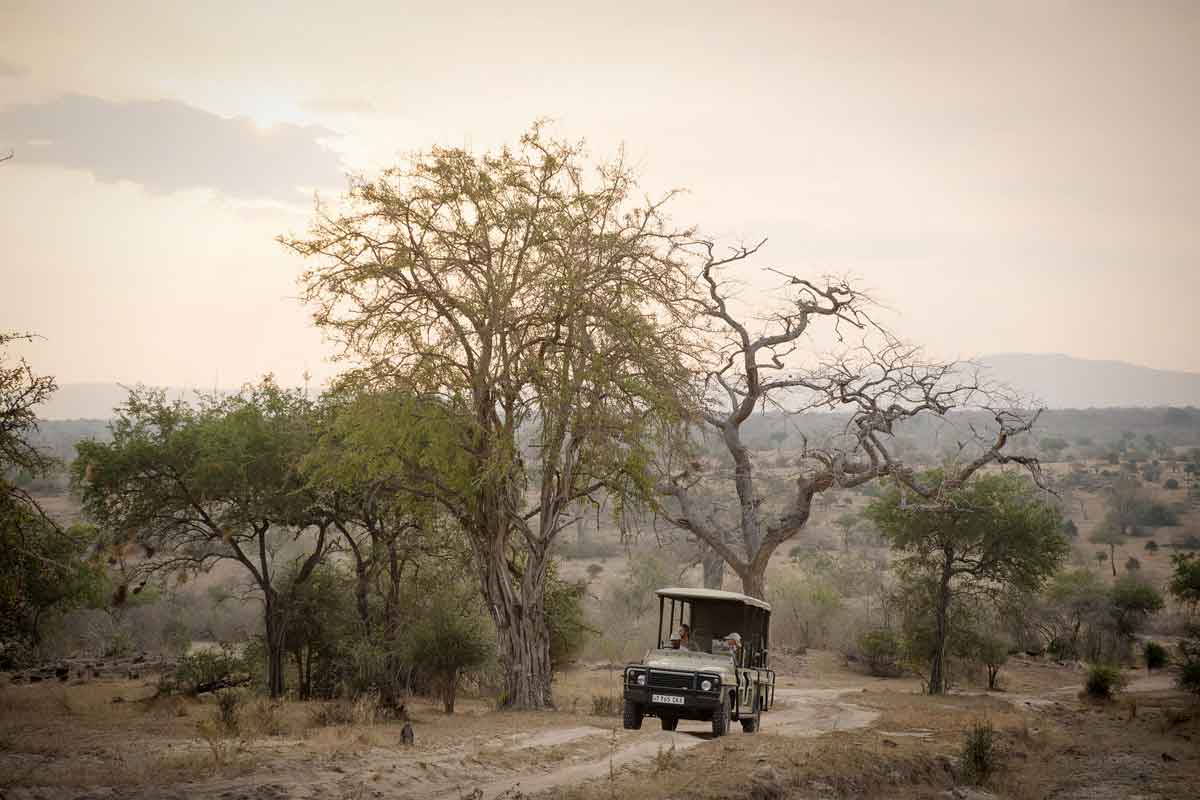 Safari in Southern Tanzania Sand Rivers Selous