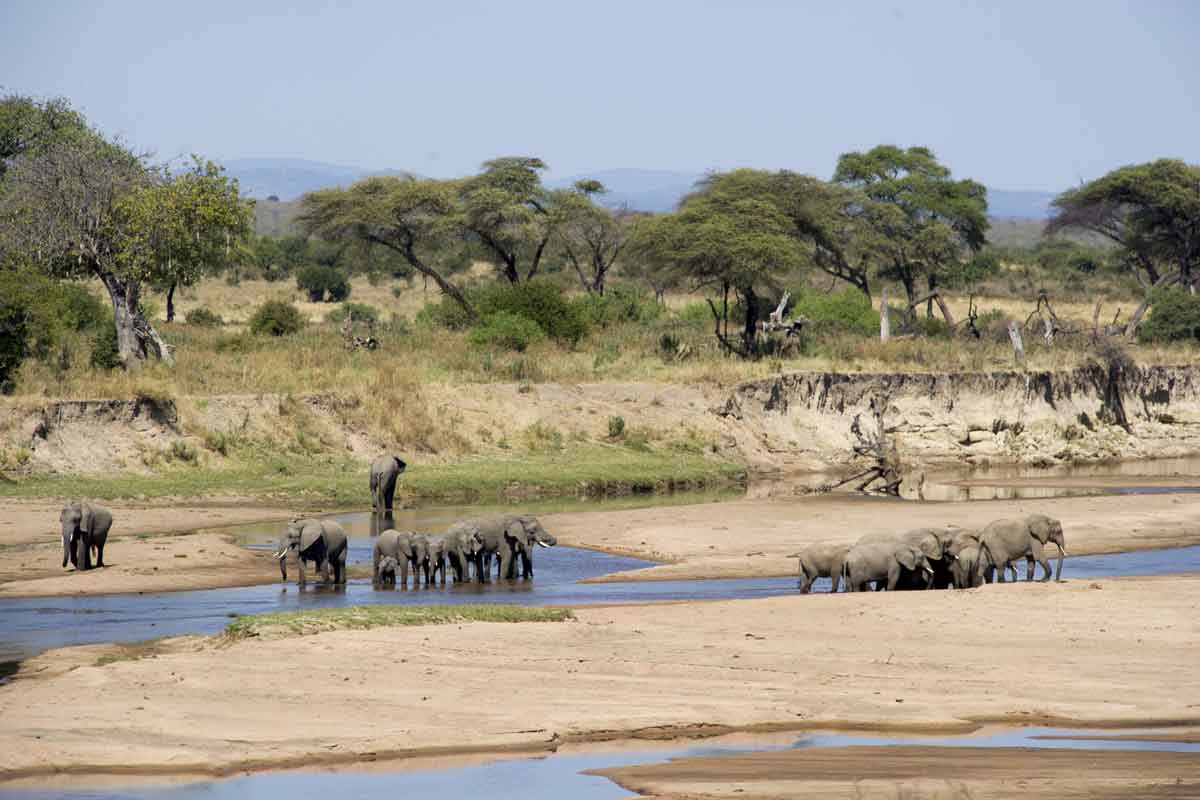 Safari in Southern Tanzania Sand Rivers Selous