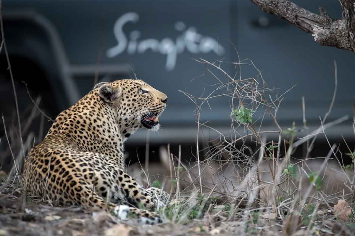 Singita Kruger National Park 