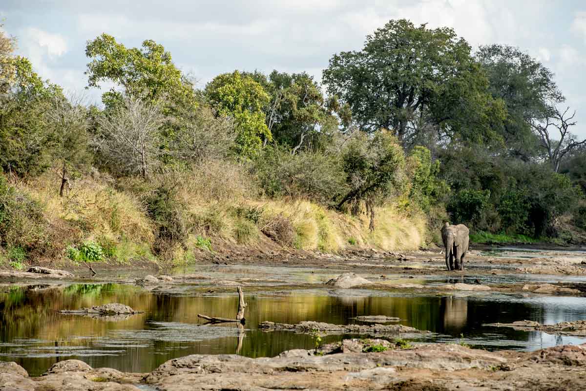 Singita Kruger National Park 