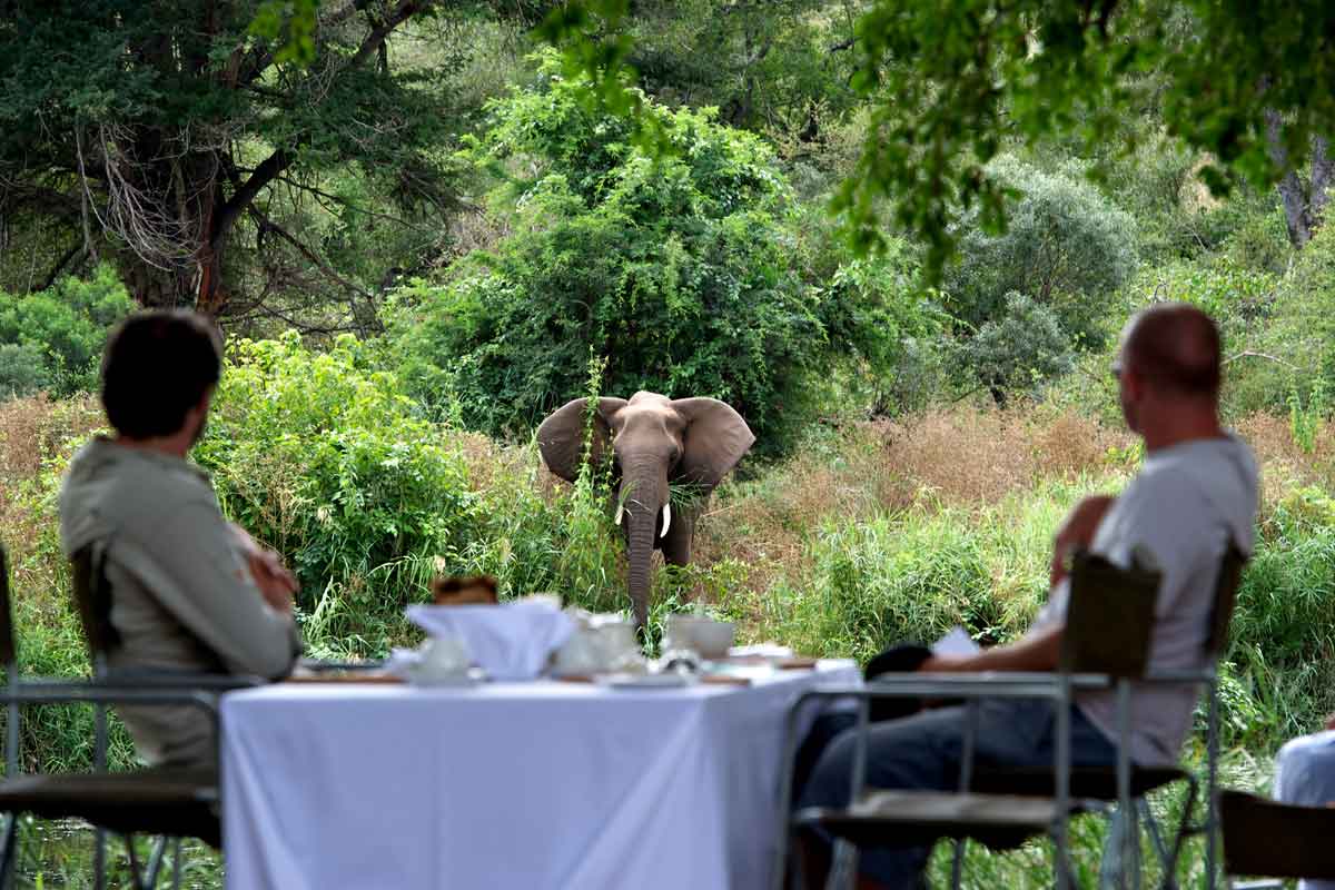 Singita Sweni Lodge