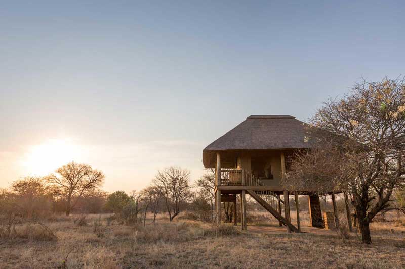 Top 10 Klaserie Safari Lodges nThambo Tree Camp