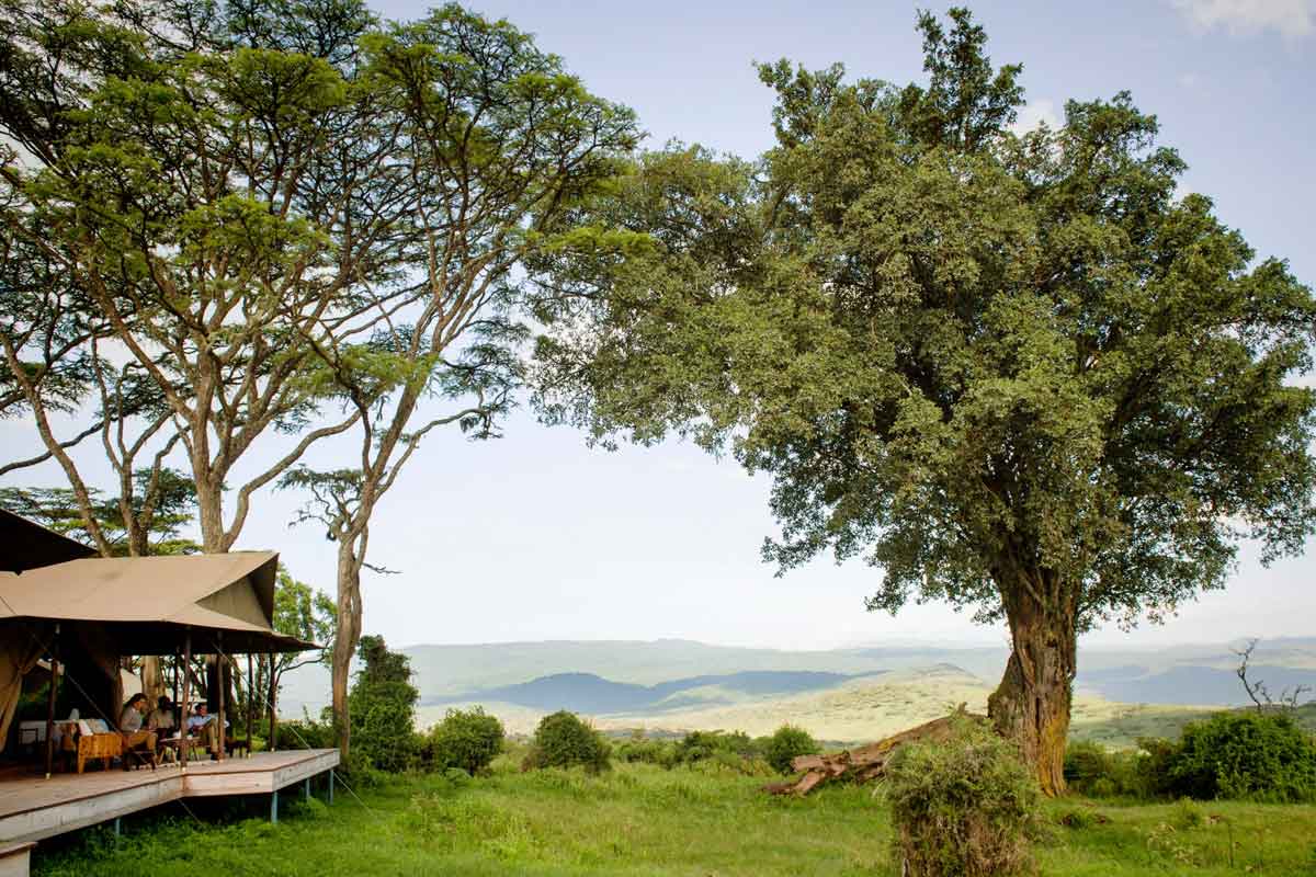 Nomad Entamanu Ngorongoro