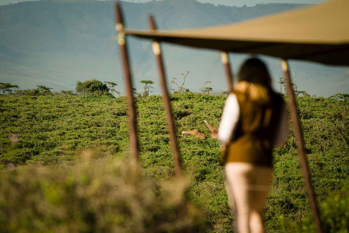 Nomad Entamanu Ngorongoro