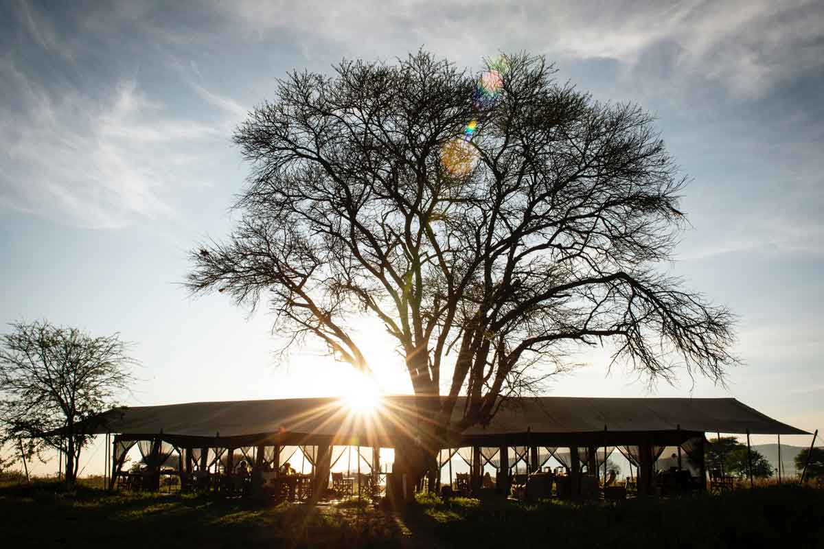 Nomad Serengeti Safari Camp