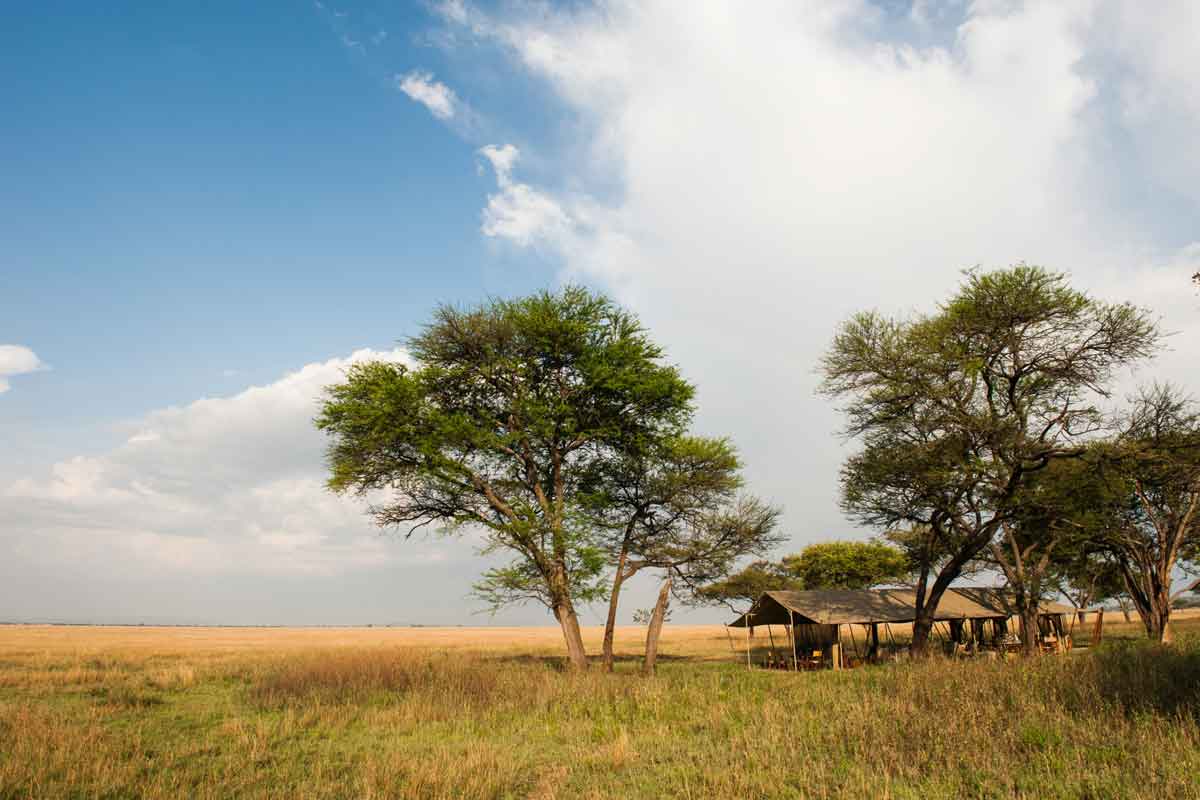 Nomad Serengeti Safari Camp