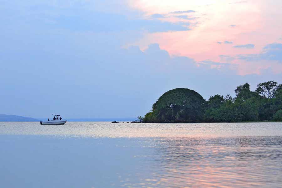 Tanzania Safaris Rubondo Island