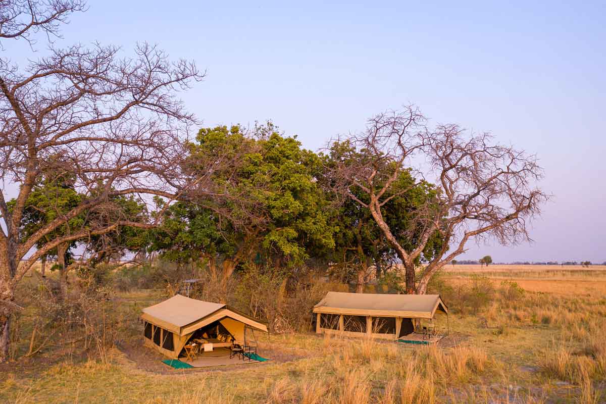 Affordable Okavango Delta Safari - Mboma Island Expeditions