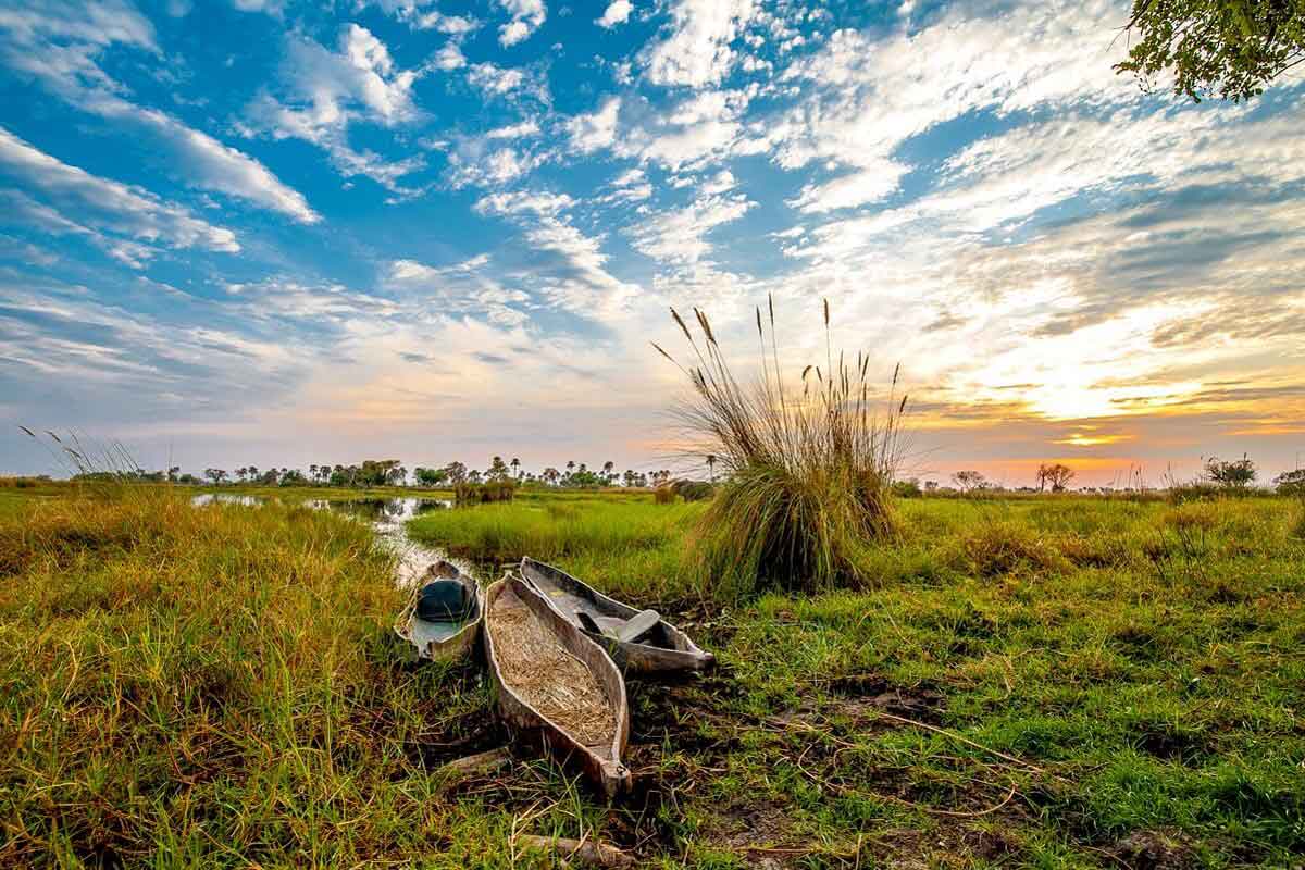 Affordable Okavango Delta Safari - Oddballs Enclave