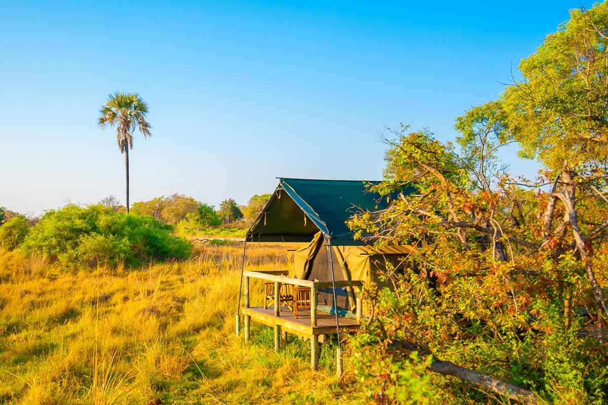 Affordable Okavango Delta Safari - Oddballs Enclave