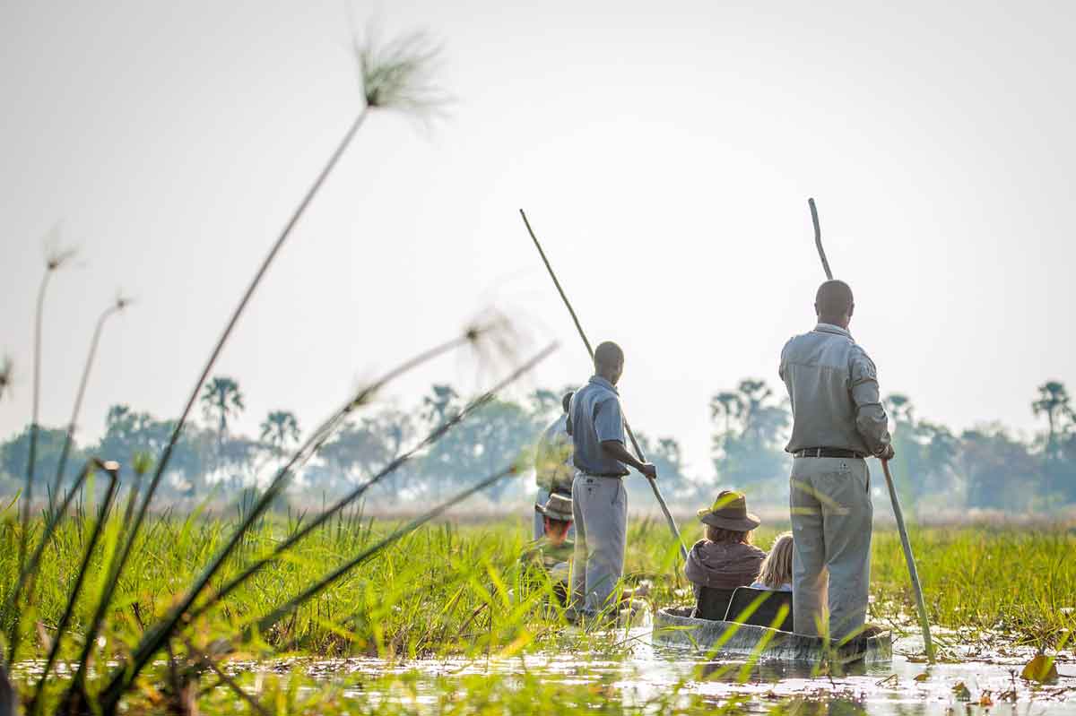 Affordable Okavango Delta Safari - Oddballs Enclave