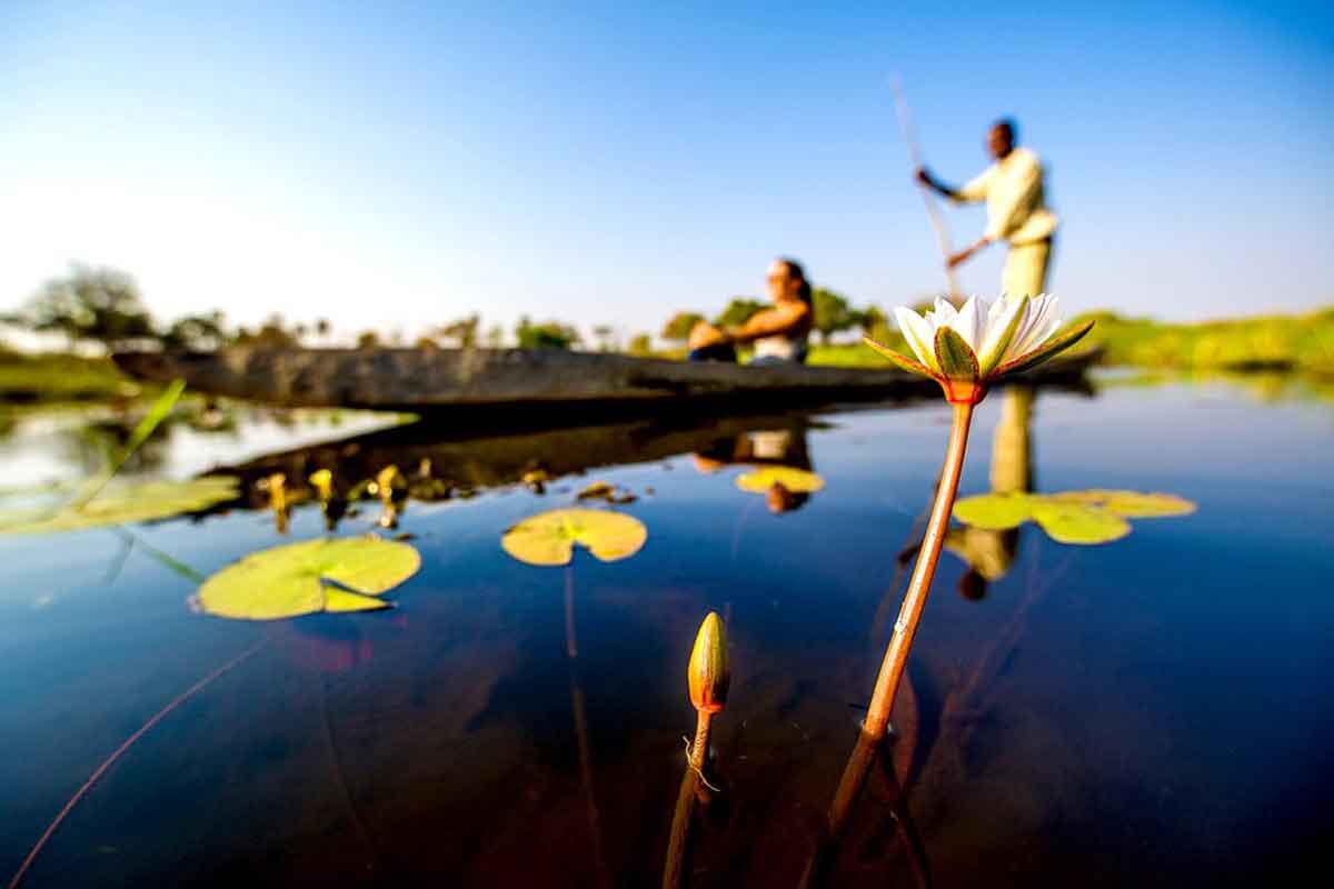 Affordable Okavango Delta Safari - Oddballs Enclave