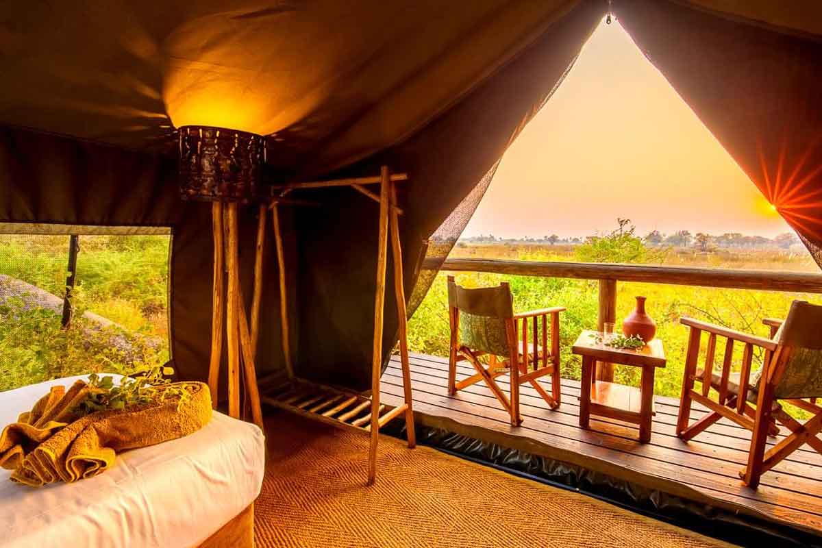 Affordable Okavango Delta Safari - Oddballs Enclave