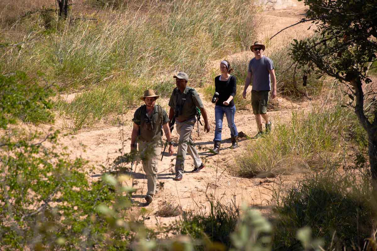 Authentic Kruger Safari Shindzela Tented Camp 