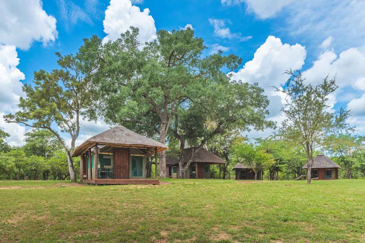 Authentic Kruger Safari Shindzela Tented Camp