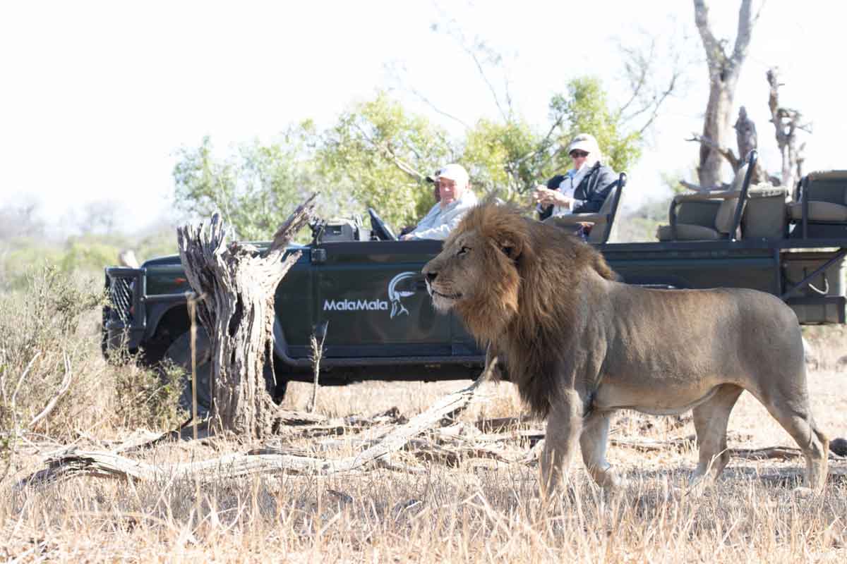 MalaMala Sable Camp