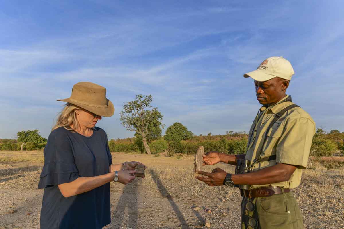 Classic Hwange Safari - Deteema Springs Camp