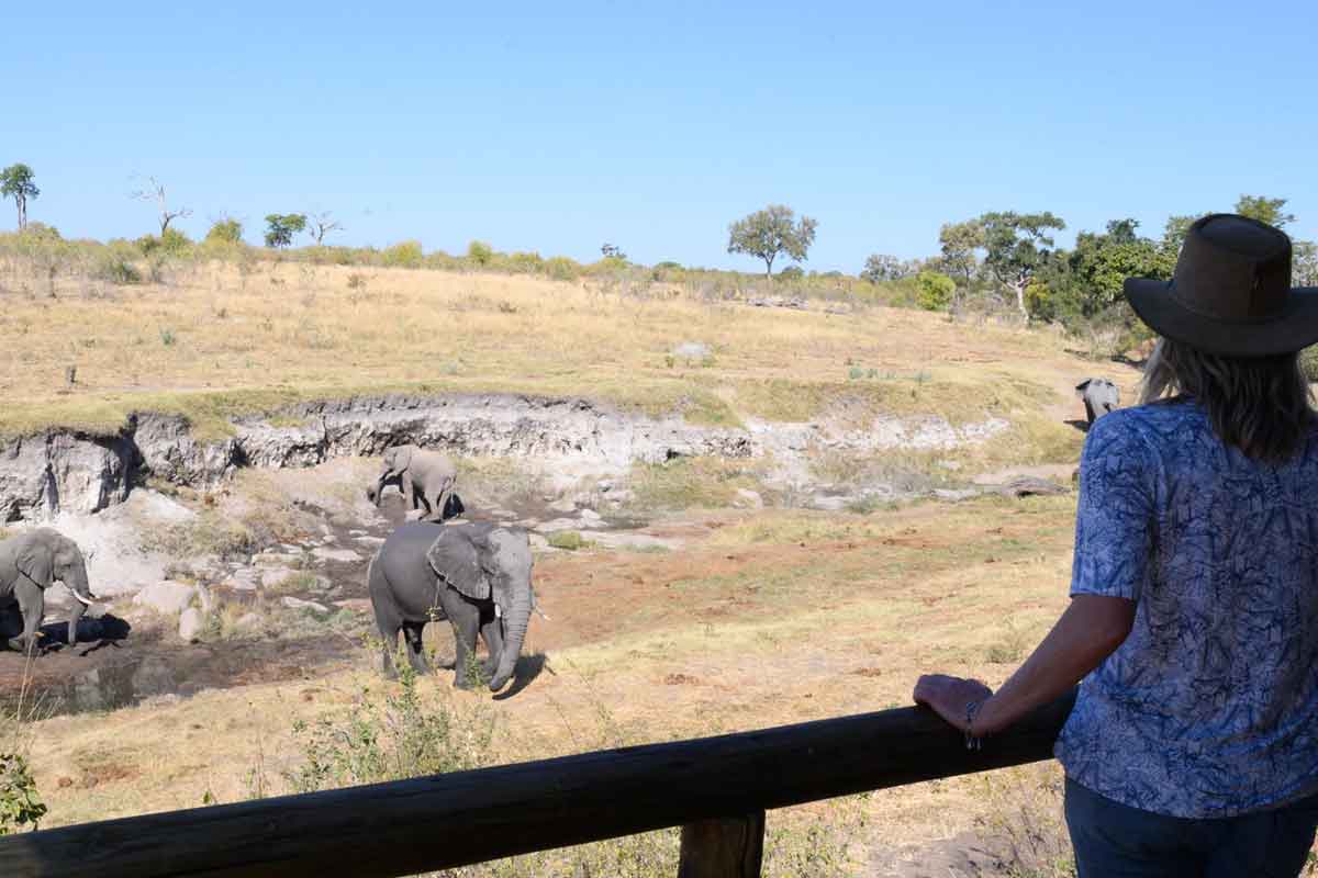 Classic Hwange Safari - Deteema Springs Camp