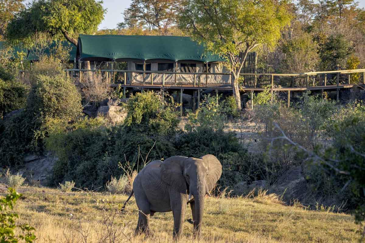 Classic Hwange Safari - Deteema Springs Camp