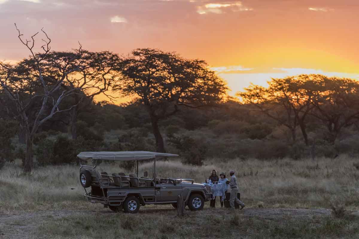 Classic Hwange Safari - Verneys Camp