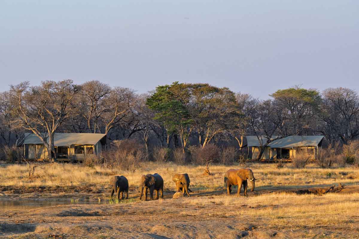 Classic Hwange Safari - Verneys Camp