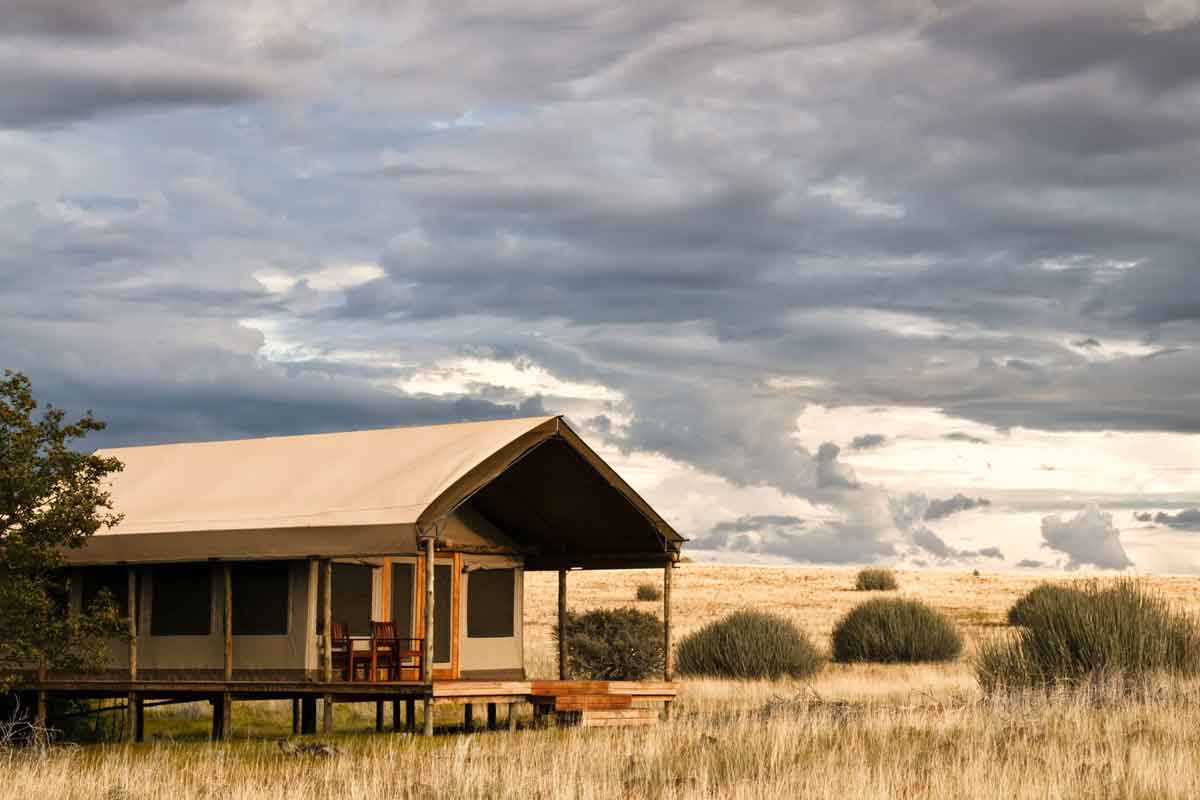 Classic Namibia-Desert Rhino Camp