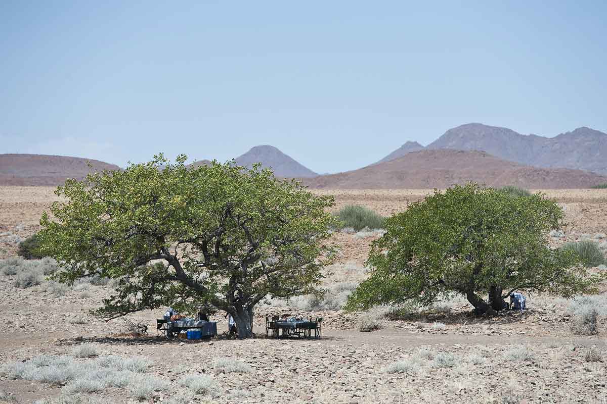 Classic Namibia-Desert Rhino Camp