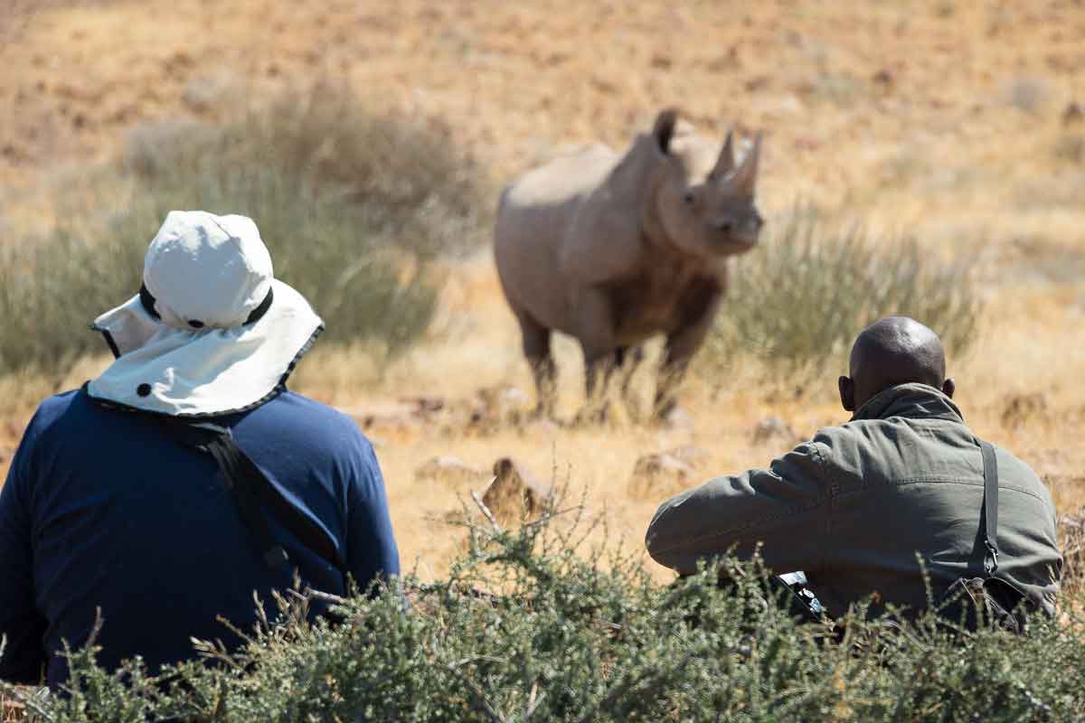 Classic Namibia-Desert Rhino Camp