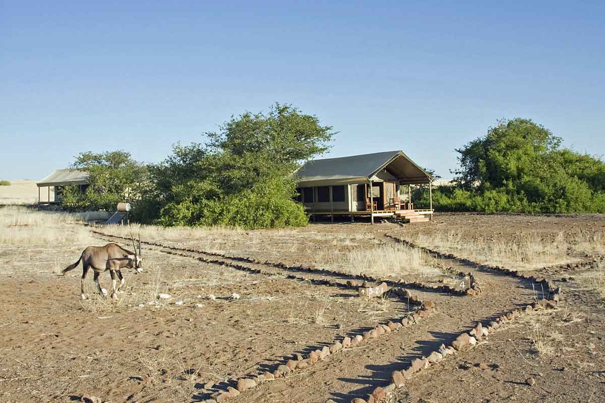 Classic Namibia-Desert Rhino Camp