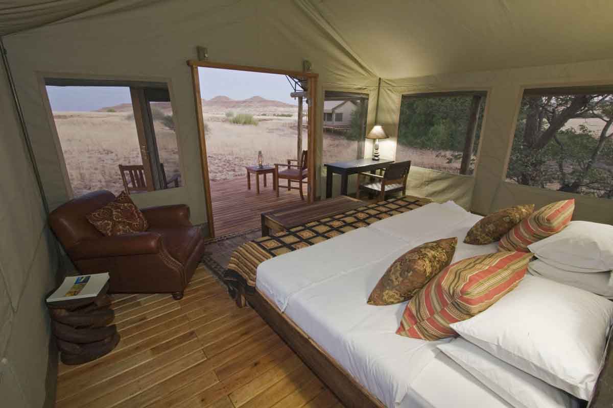 Classic Namibia-Desert Rhino Camp