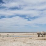 Classic Namibia Safari