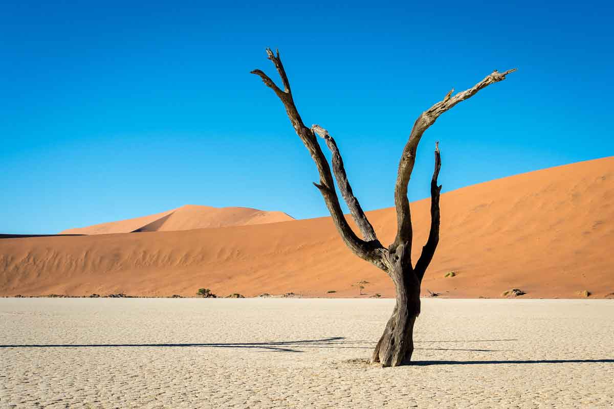 Classic Namibia Safari-Kulala Desert Lodge