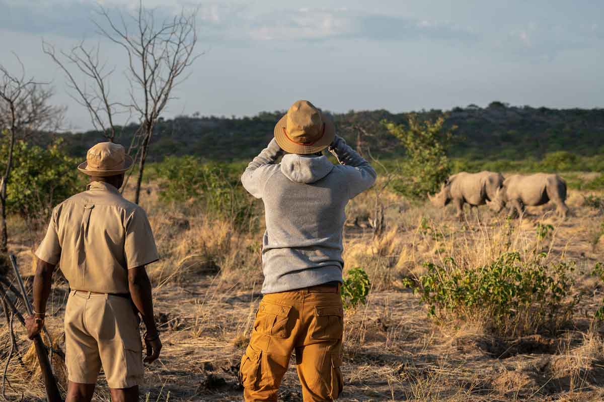 Classic Namibia Safari-Ongava Lodge