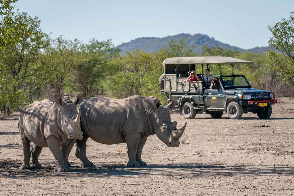 Classic Namibia Safari-Ongava Lodge
