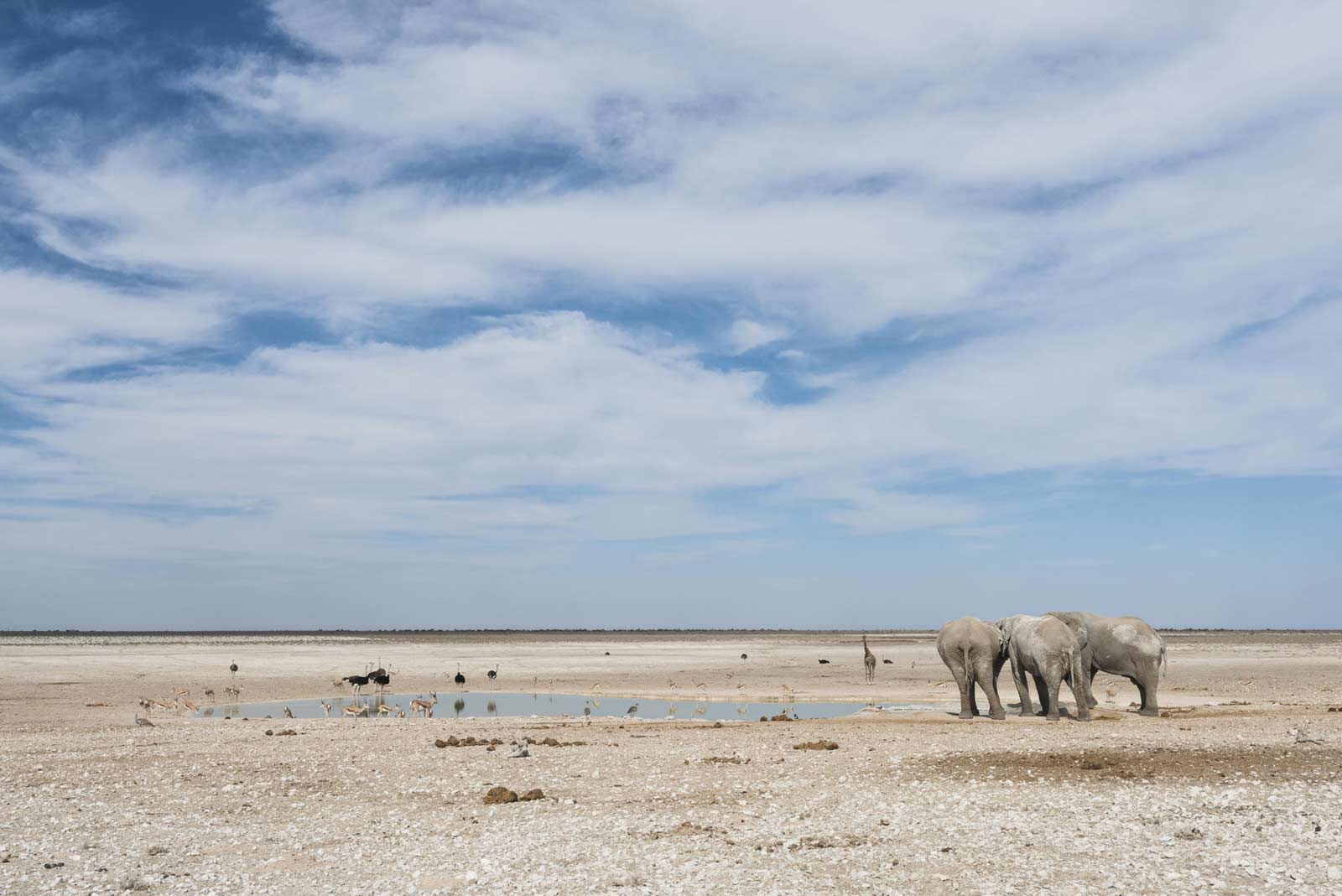 Classic Namibia Safari